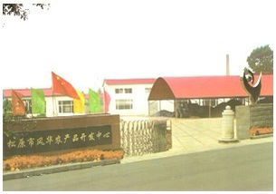 松原市風(fēng)華農(nóng)產(chǎn)品開發(fā)中心：糧油作物與軟件銷售的創(chuàng)新融合